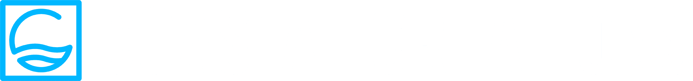 Partial Logo - Transparent